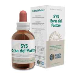 Sys Borsa Del Pastore