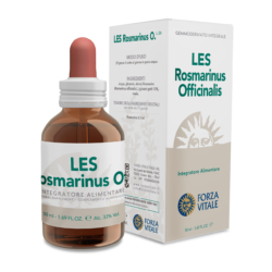 Les Rosmarino Officinalis