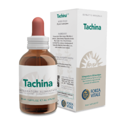 Tachina