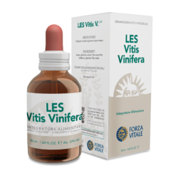 Les Vitis Vinifera