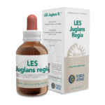 Les Juglans Regia
