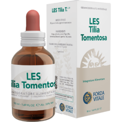 LES Tilia Tomentosa