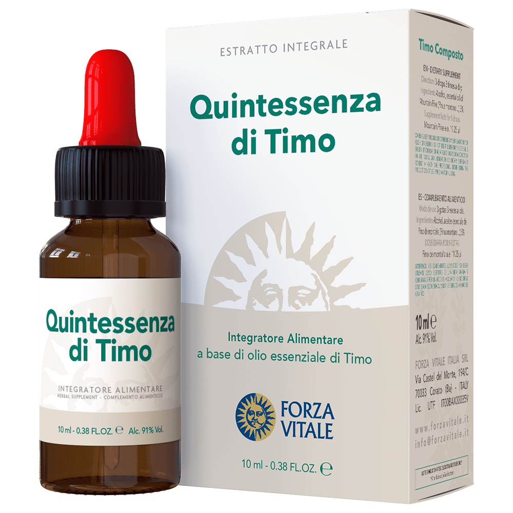 Qe di Timo